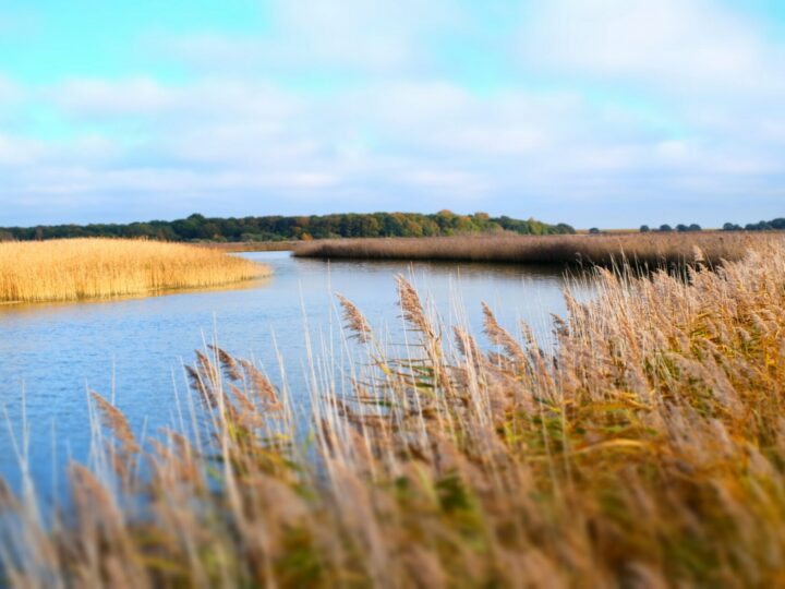 Snape Maltings in autumn